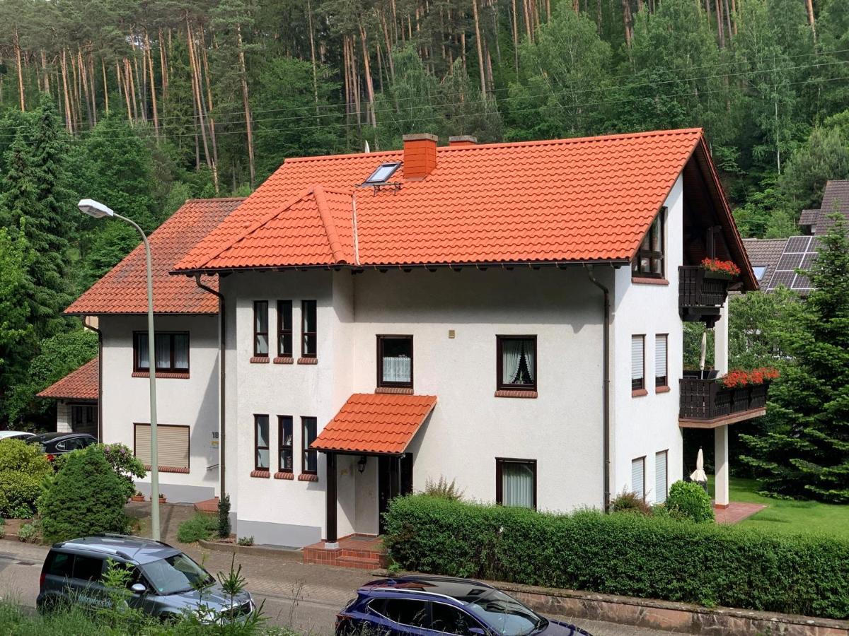 Ferienwohnungen Im Herzen Des Pfaelzerwaldes Elmstein Eksteriør bilde