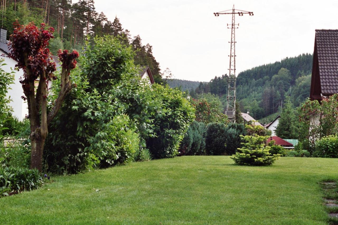 Ferienwohnungen Im Herzen Des Pfaelzerwaldes Elmstein Eksteriør bilde