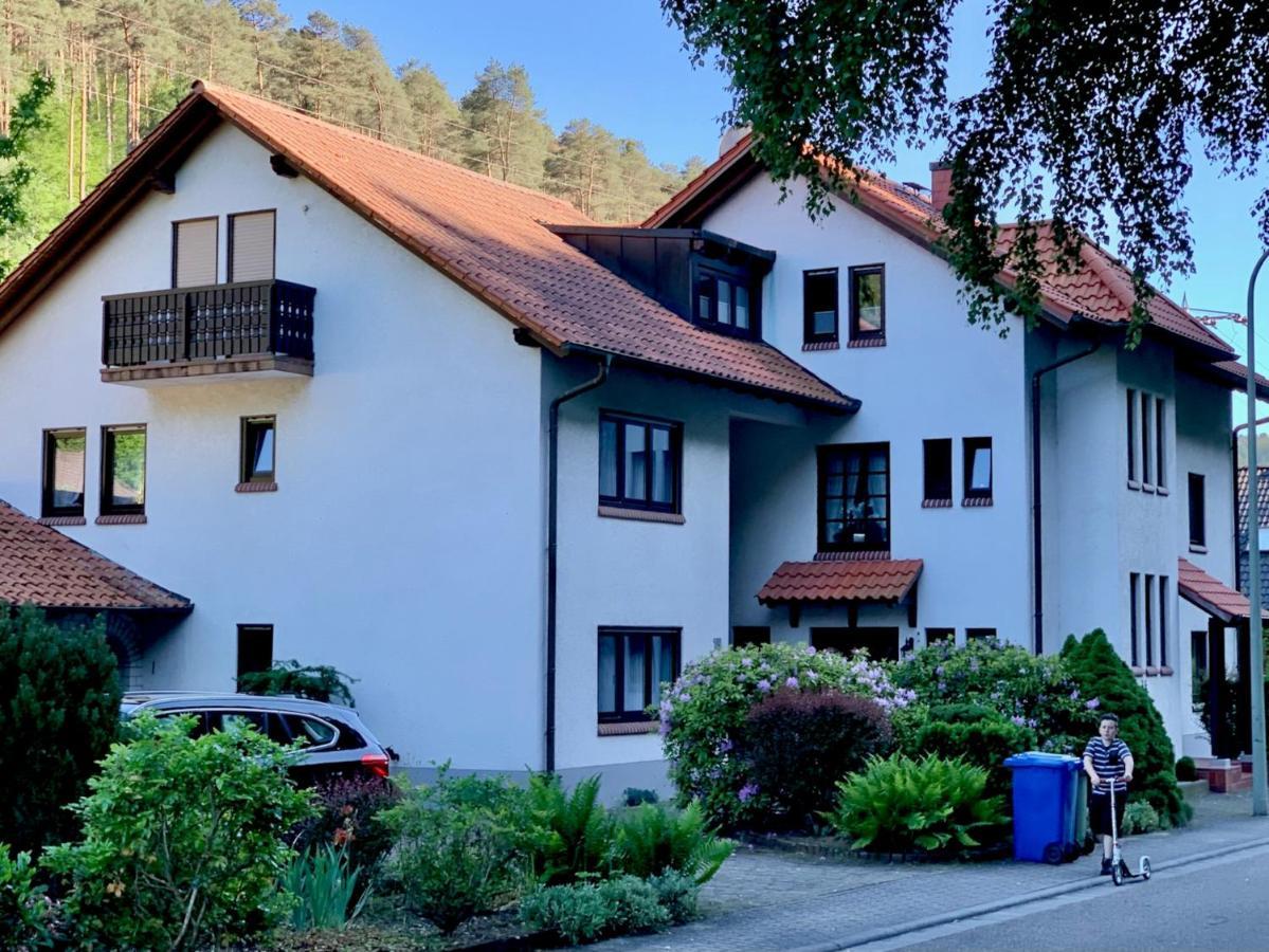 Ferienwohnungen Im Herzen Des Pfaelzerwaldes Elmstein Eksteriør bilde